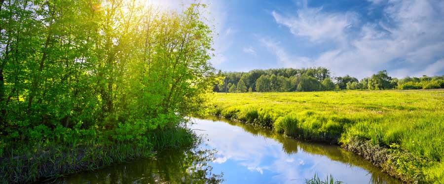 Bend of the river with green trees and a meadow on the shore. Bright day sun. Summer landscape